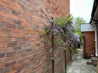 Knowsley Park Lane Garden.jpg