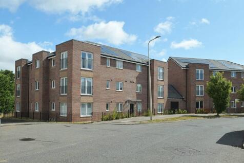 MFL6250863_321.jpg
