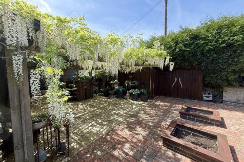 Wisteria