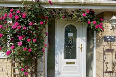 Rose Over The Front Door.jpg