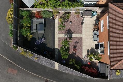 Birdseye