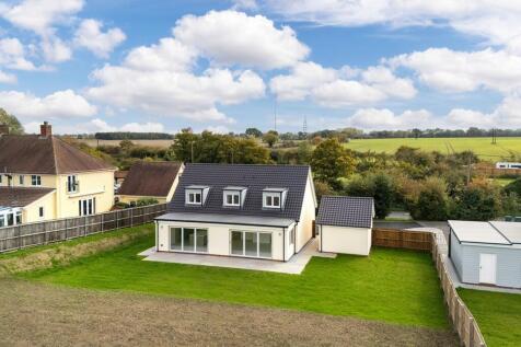 1440px-Elm Tree V...