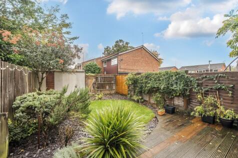 South Facing Garden