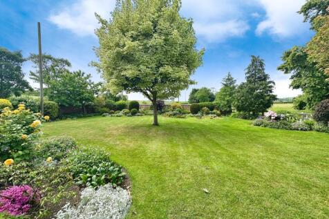 99b9c17c--46B4-8F72-5923C7716BE7-66306-0000156E5E3