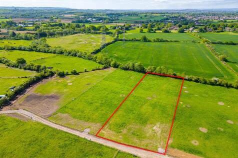 Daisy Field, Frome Mill Farm, Nibley lane, Nibley,
