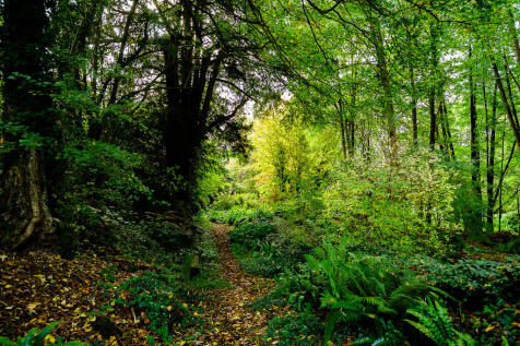 The Old Cornmill-...