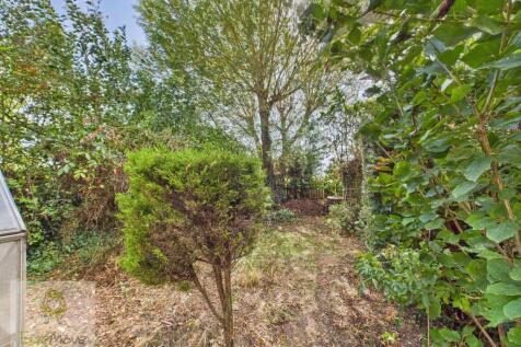 Back Garden