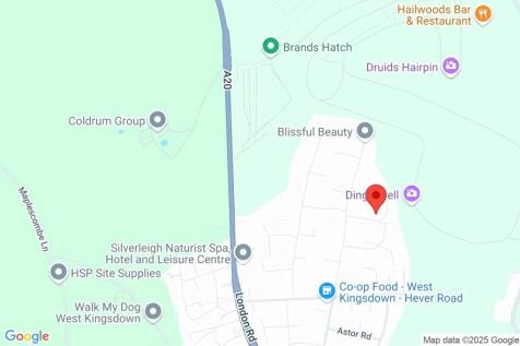 Google Maps Image