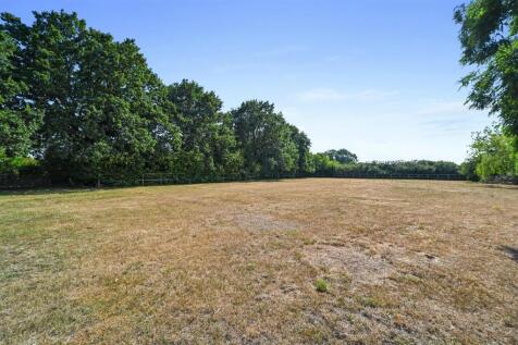MEADOW