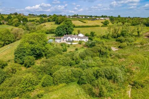 thumbnail_image0 (1).jpg