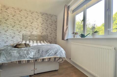 FullSizeRender (3...