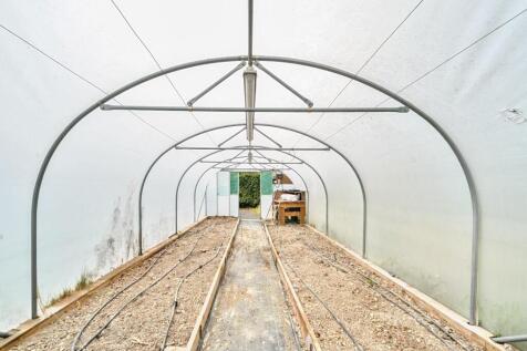 Polytunnel.jpg