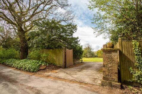 Property Image 41