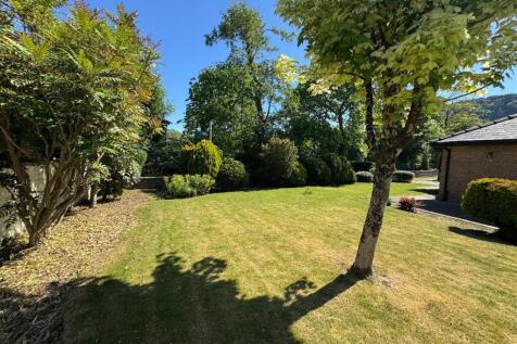 PHOTO-2025-06-10-15-00-38 (3).jpg