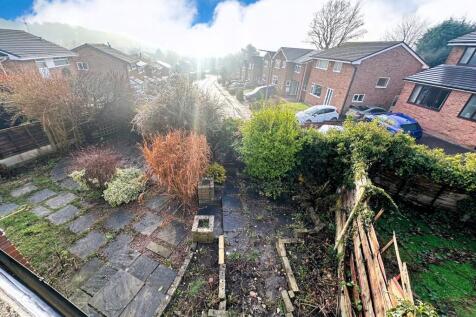 Photograph 29