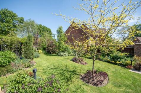 Additional Photograph