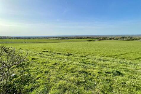 View Adjacent Field