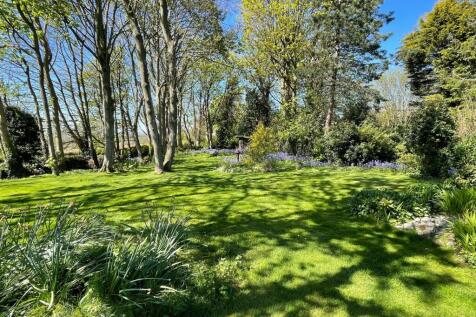 Property Image 43