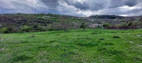 Grassy rural land with scattered trees and forested hills under a cloudy sky.