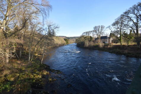 IMG_11524_32_larg...