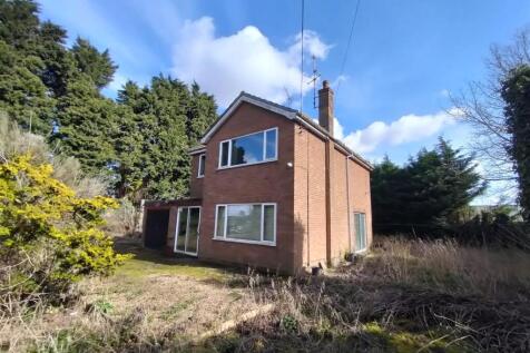 IMG20250314131055 - Copy.jpg