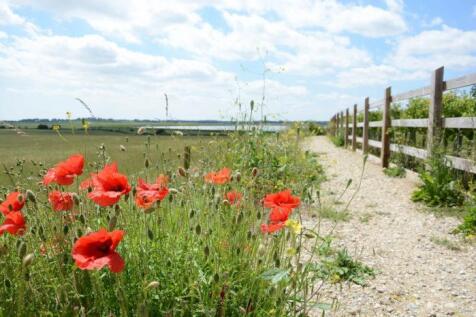 Poppies-to-estuary-700x466.jpg