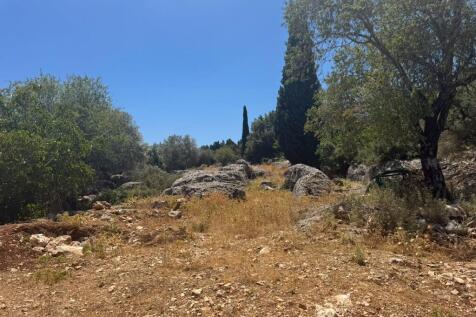 Back garden