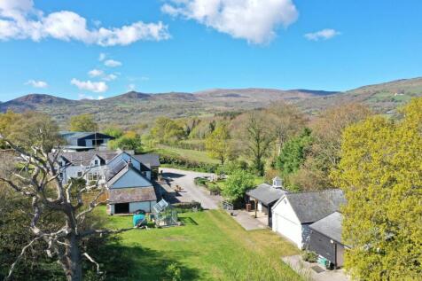 PHOTO-2025-04-27-21-17-04 (1).jpg