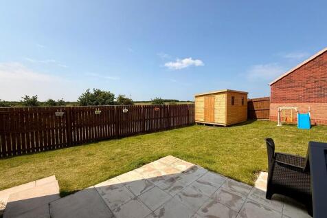 WhatsApp Image 20...