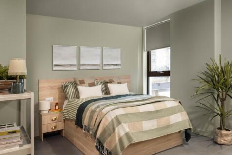 Roomy Studio Example