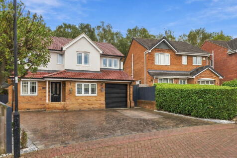 Property Image 42