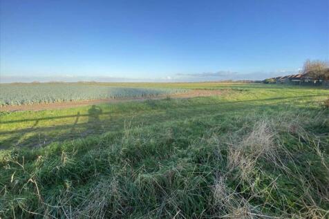 Plot View To Rear: