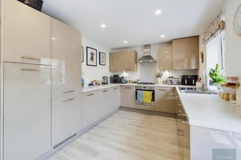 CAM02558G0-PR0203-ST