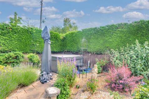 Garden_ (5).jpeg