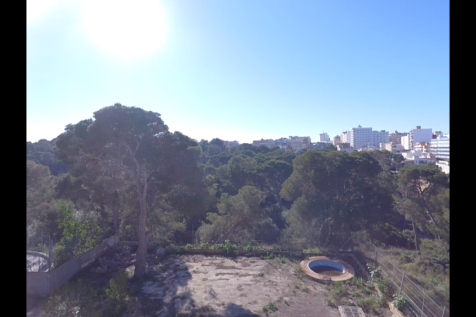 Third Floor Forest View.PNG