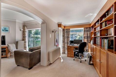 Study Area