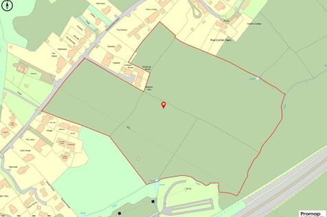 Promap-3182690-3279313-750-0.jpg