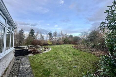Garden 5