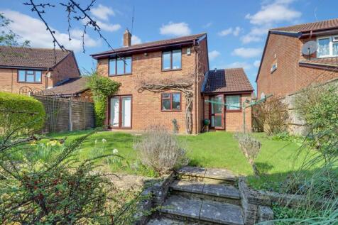 Property Image 13