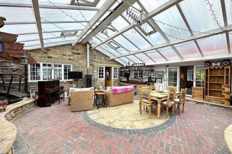 oranagary back to bar.jpg