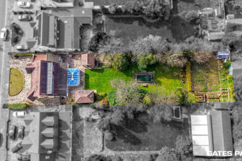 39dji202603161241200694d