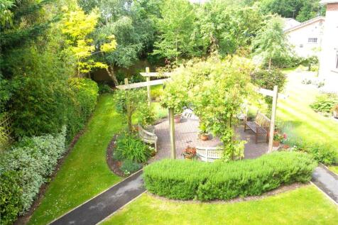 The Grounds