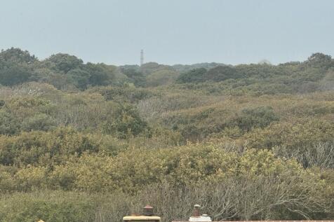 IMG_3191a