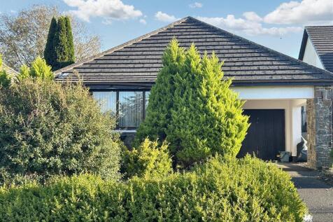 IMG_0462.jpg