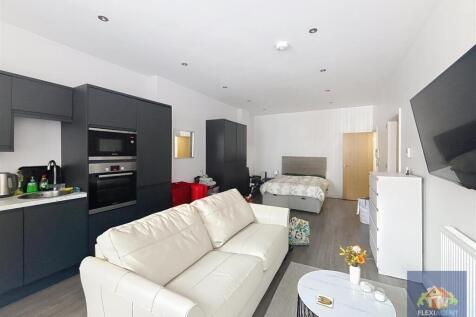 Living/Kitchen/Bedroom