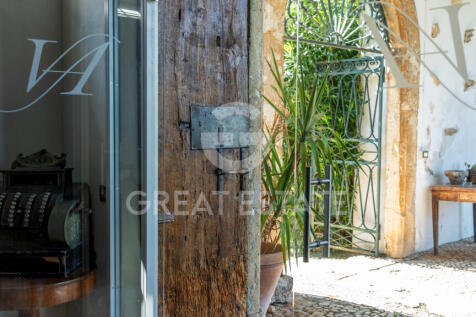 Panorama e Particolari