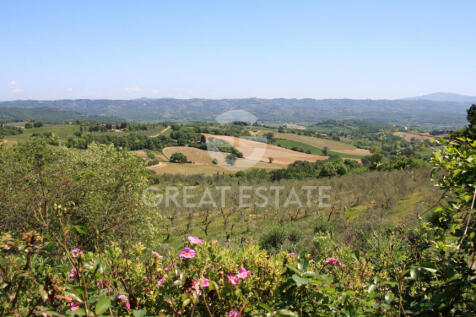 Panorama e Particolari