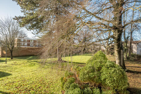 Communal Gardens