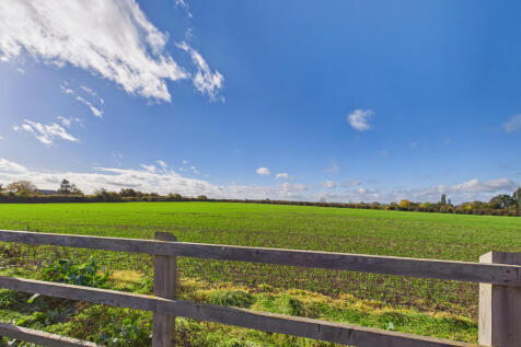 Field