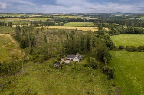 Drone View